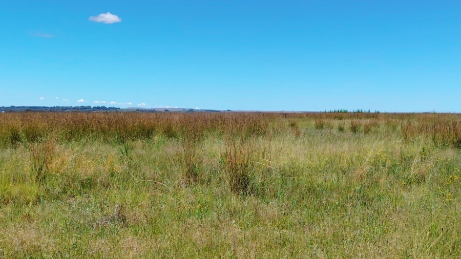 Commercial Property for Sale in Sasolburg Rural Free State